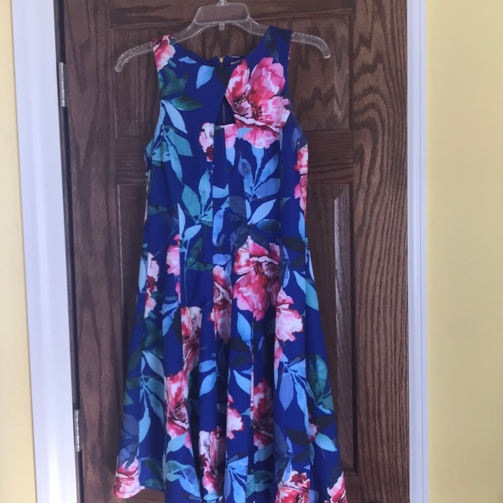 Spring/Summer Pleated Dress